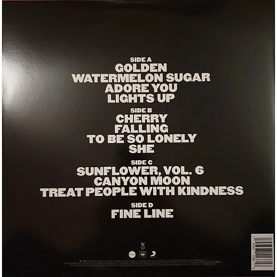 Harry Styles - Fine Line Plak 2 LP