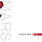 Thirty Seconds To Mars– A Beautiful Lie (Kırmızı Renkli) Plak LP