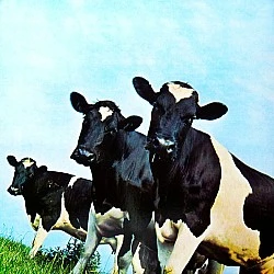 Pink Floyd - Atom Heart Mother Plak LP