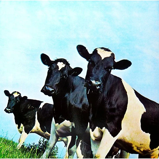Pink Floyd - Atom Heart Mother Plak LP