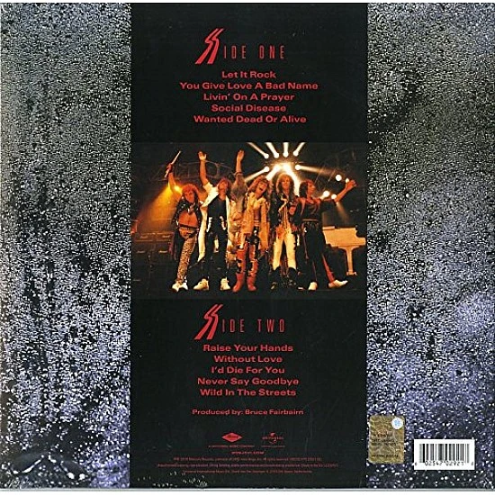 Bon Jovi - Slippery When Wet Plak LP