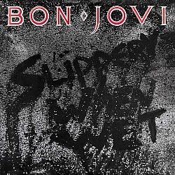 Bon Jovi - Slippery When Wet Plak LP