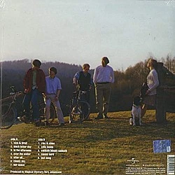 The Cardigans ‎– Emmerdale Plak LP