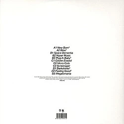 Muse - Origin Of Symmetry Plak 2 LP