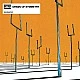 Muse - Origin Of Symmetry Plak 2 LP