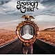 Scorpion Child - Scorpion Child (Bronz Renkli) Plak LP