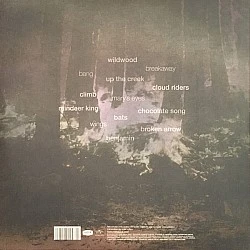 Tori Amos - Native Invader Plak 2 LP