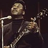 Muddy Waters