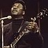 Muddy Waters