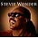 Stevie Wonder