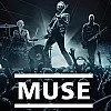 Muse