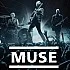 Muse