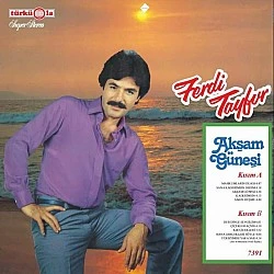 Ferdi Tayfur - Akşam Güneşi Plak LP