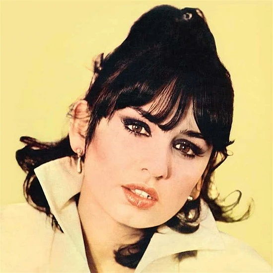 Sezen Aksu - Allahaısmarladık Plak LP