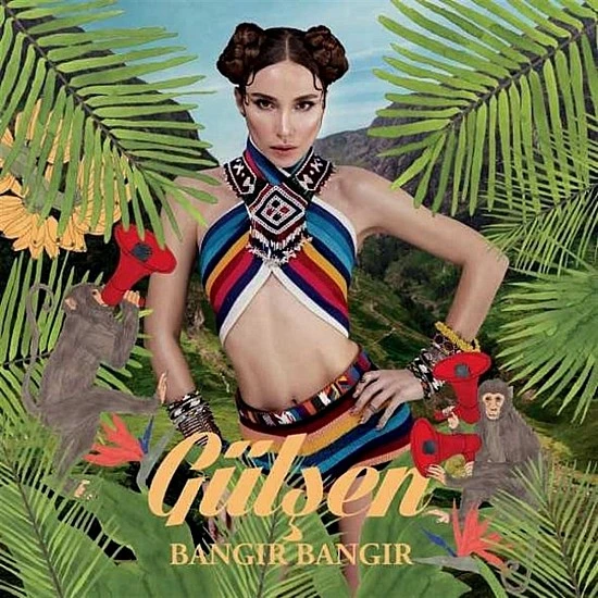 Gülşen - Bangır Bangır Plak LP
