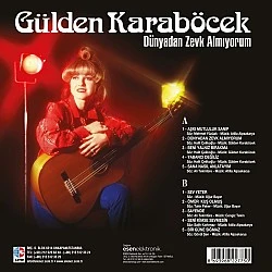 Gülden Karaböcek - Dünyadan Zevk Almıyorum Plak LP