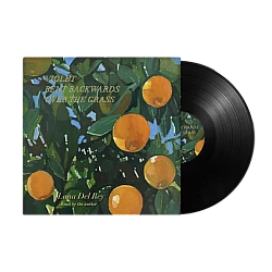 Lana Del Rey ‎– Violet Bent Backwards Over The Grass Plak LP